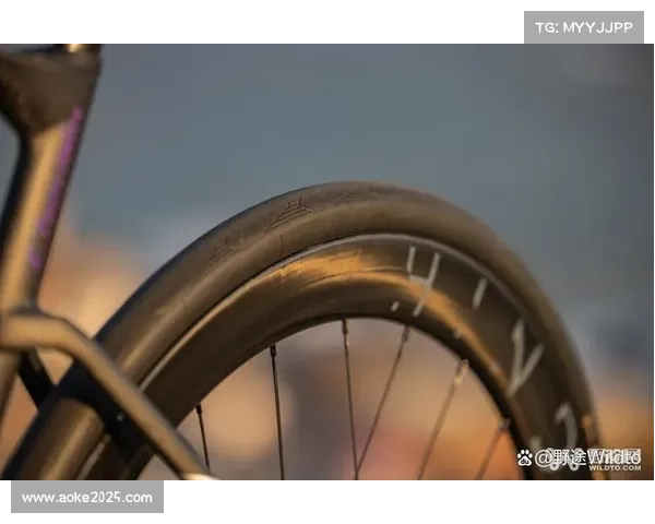 美炭投资广州风雷车队,彻明R战车亮相国际赛事