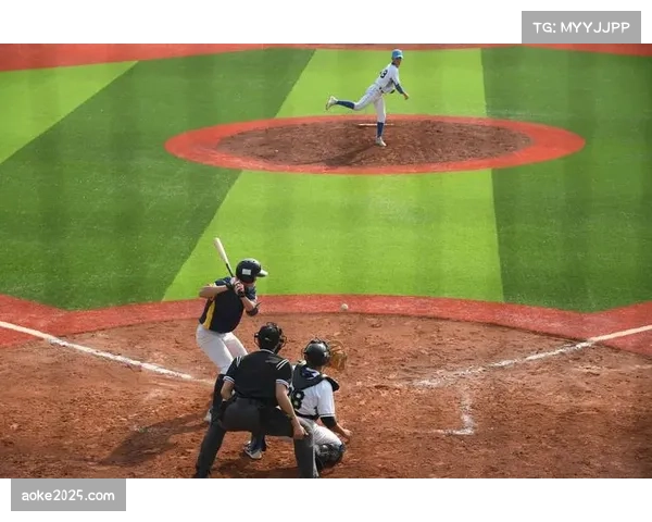 美国业余垒球协会报告显示，2025年成年女性慢投垒球参与人数同比增长12%